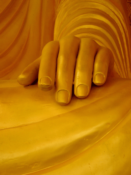 Đức Phật có phải là bậc nhất thiết trí không?
