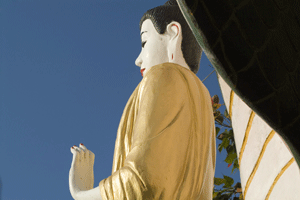 Căn nhà thực của chúng ta