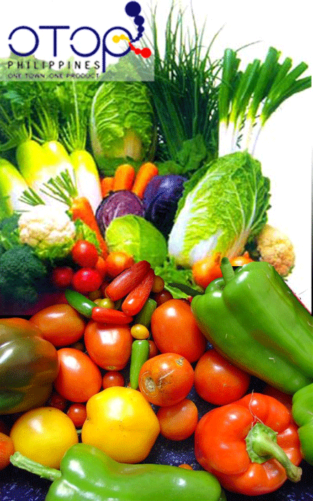 Món chay trong hành trình văn hóa ẩm thực Việt Nam
