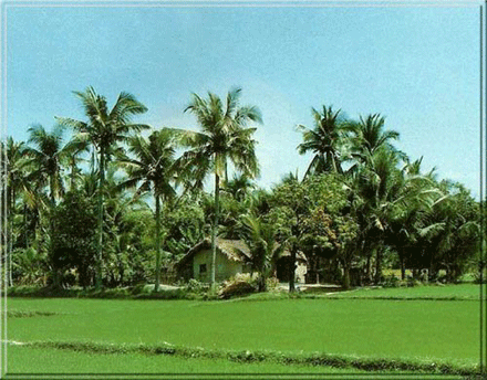 Bên bãi Ngao đọc thơ Lục Vân Tiên