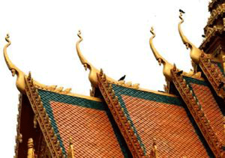 sacmau-2.gif