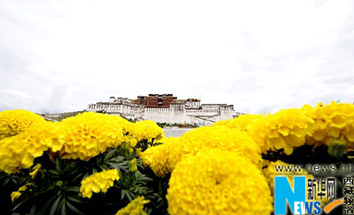taytang-4.gif