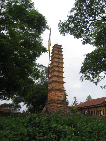 thapbinhson-1.gif