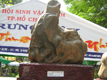 nhuantam-2.gif