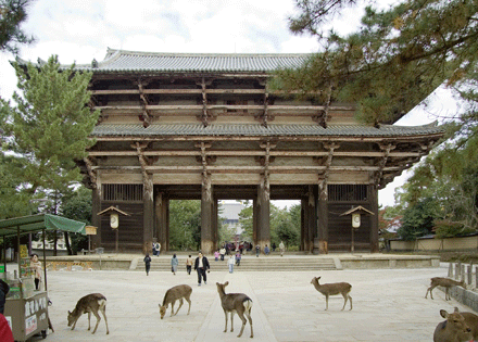 chua-nhat-1.gif