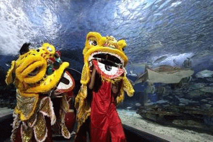 Chau-A-15.gif