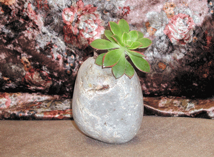 nam-moi-2.gif