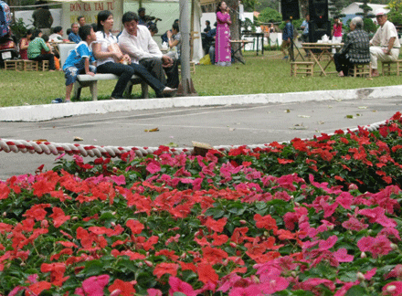 hoaxuan-13.gif