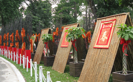 hoaxuan-16.gif