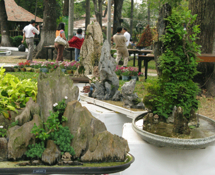 50 vạn lượt người đến với Hội hoa Xuân Kỷ Sửu 2009 ảnh 7 hoaxuan-7.gif