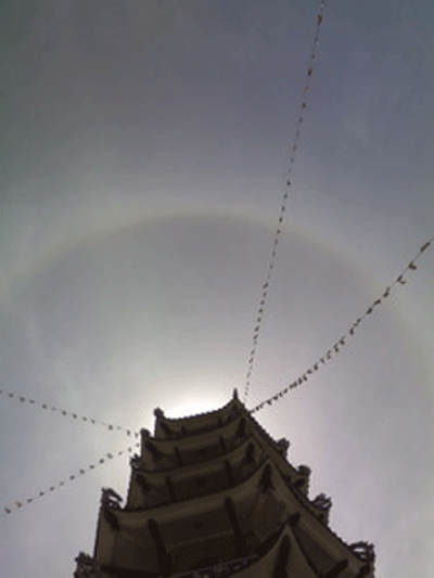 linhphuoc-1.gif