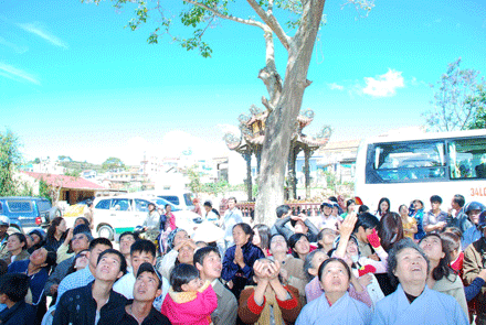 linhphuoc-11.gif