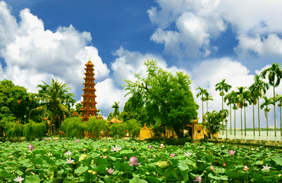 tranquoc-8.gif
