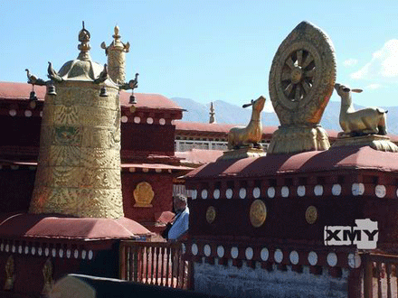taytang-11.gif