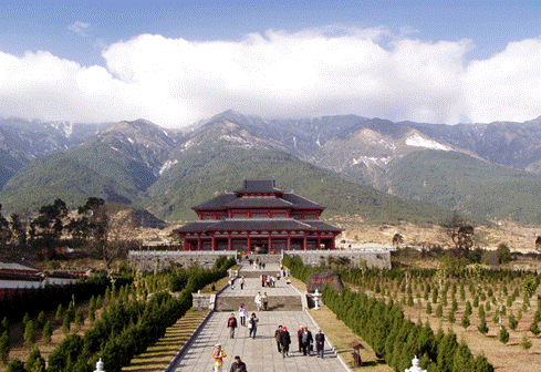 sungthanh 2.gif