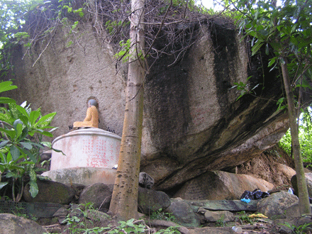 thapto-3.gif