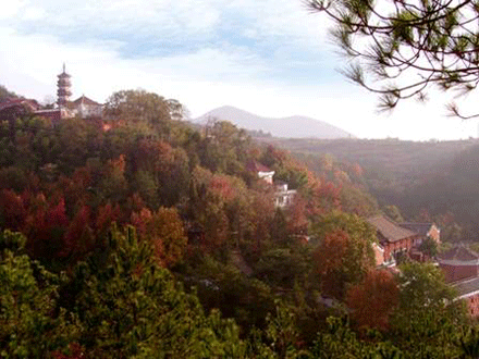 chuatamto-30.gif