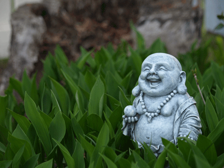 phongphu-1.gif