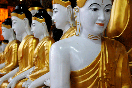phongphu.gif