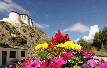 taytang-1.gif