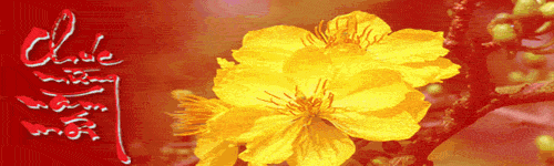 BBTPhoQuang2.gif