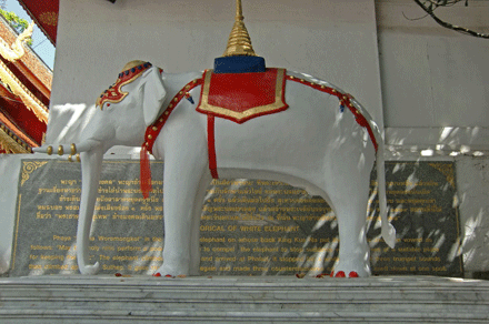 chauthai-3.gif