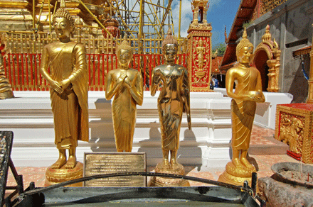 chauthai-4.gif
