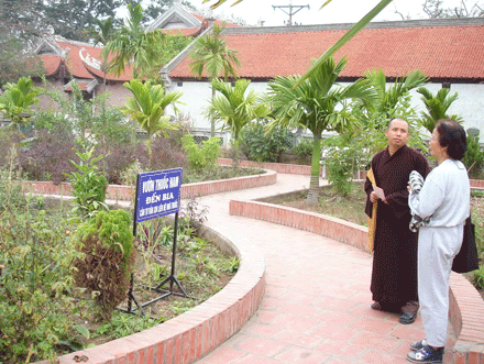 Kỳ tích chùa Giám ảnh 19 chuagiam-3.gif