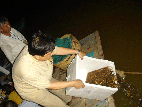 phongsanh-3.gif