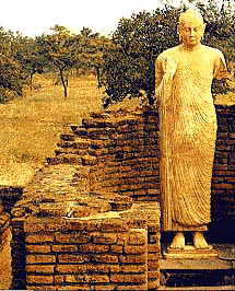 Ðạo và Quả