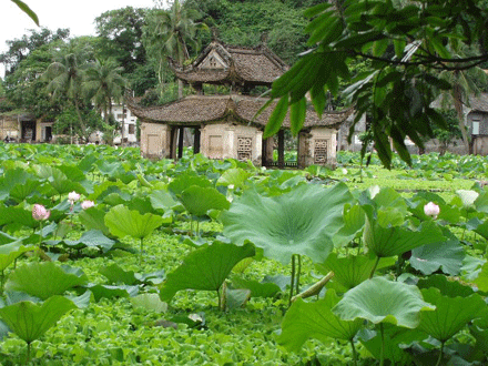 Từ một bài ca dao ngắn...