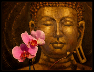 Thân cận người trí