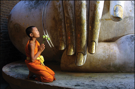 Phật &  chúng sanh
