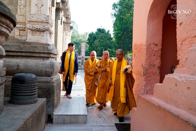 Trưởng lão Hòa thượng Thích Trí Quảng chiêm bái Bồ Đề Đạo Tràng - nơi Đức Phật thành đạo ảnh 1