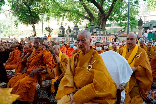 Trưởng lão Hòa thượng Thích Trí Quảng chiêm bái Bồ Đề Đạo Tràng - nơi Đức Phật thành đạo ảnh 4