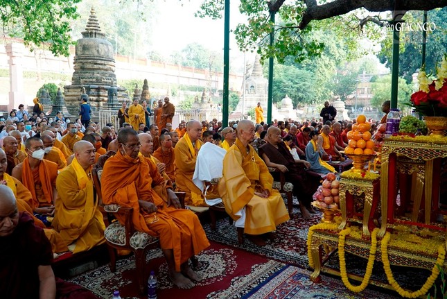 Trưởng lão Hòa thượng Thích Trí Quảng chiêm bái Bồ Đề Đạo Tràng - nơi Đức Phật thành đạo ảnh 5