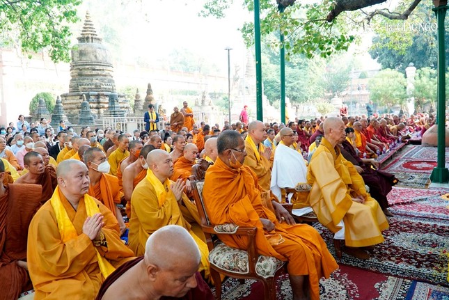 Trưởng lão Hòa thượng Thích Trí Quảng chiêm bái Bồ Đề Đạo Tràng - nơi Đức Phật thành đạo ảnh 6