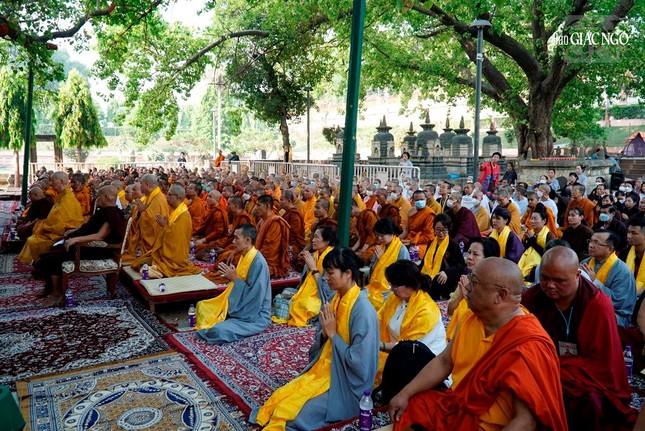 Trưởng lão Hòa thượng Thích Trí Quảng chiêm bái Bồ Đề Đạo Tràng - nơi Đức Phật thành đạo ảnh 7