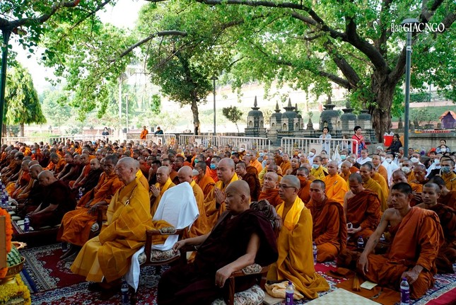 Trưởng lão Hòa thượng Thích Trí Quảng chiêm bái Bồ Đề Đạo Tràng - nơi Đức Phật thành đạo ảnh 8