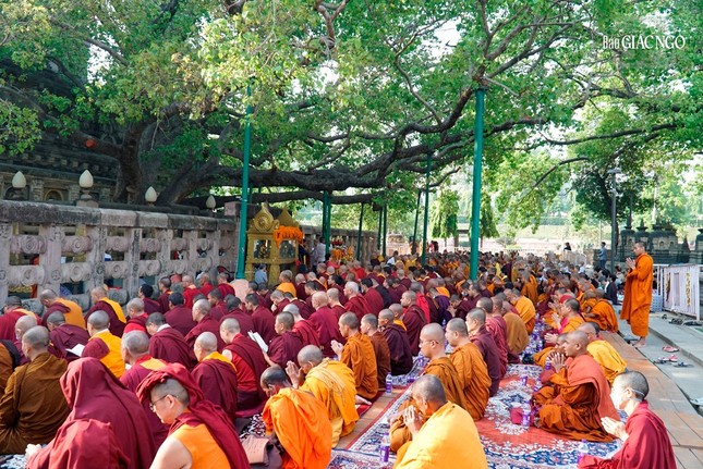 Trưởng lão Hòa thượng Thích Trí Quảng chiêm bái Bồ Đề Đạo Tràng - nơi Đức Phật thành đạo ảnh 10
