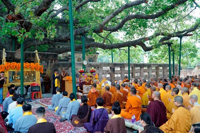 Trưởng lão Hòa thượng Thích Trí Quảng chiêm bái Bồ Đề Đạo Tràng - nơi Đức Phật thành đạo ảnh 11
