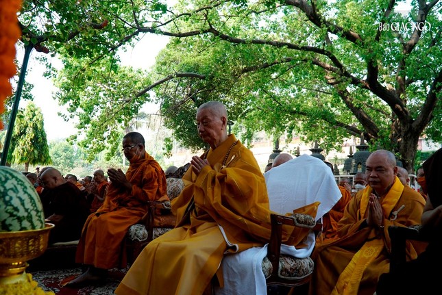 Trưởng lão Hòa thượng Thích Trí Quảng chiêm bái Bồ Đề Đạo Tràng - nơi Đức Phật thành đạo ảnh 2
