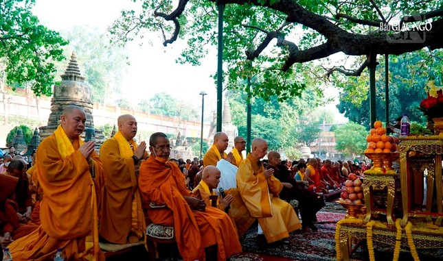 Trưởng lão Hòa thượng Thích Trí Quảng chiêm bái Bồ Đề Đạo Tràng - nơi Đức Phật thành đạo ảnh 14