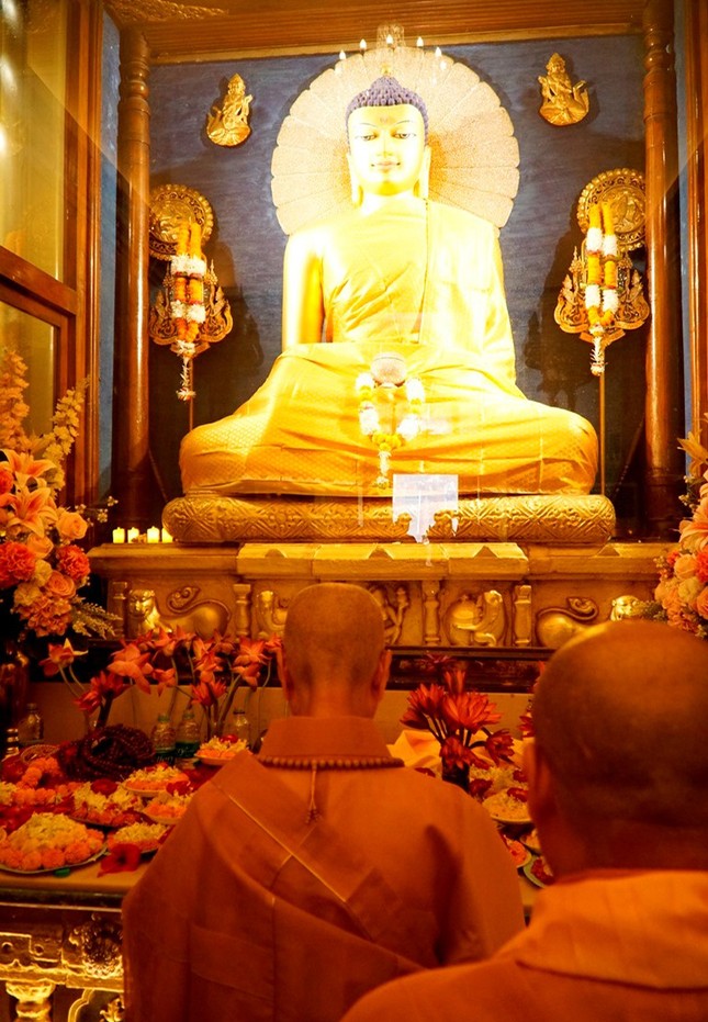 Trưởng lão Hòa thượng Thích Trí Quảng chiêm bái Bồ Đề Đạo Tràng - nơi Đức Phật thành đạo ảnh 16