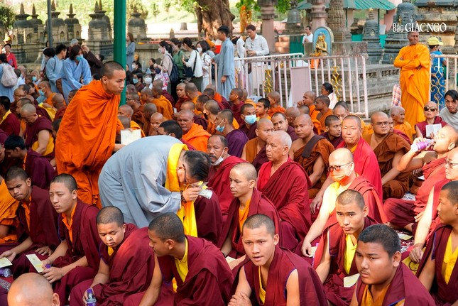 Trưởng lão Hòa thượng Thích Trí Quảng chiêm bái Bồ Đề Đạo Tràng - nơi Đức Phật thành đạo ảnh 23