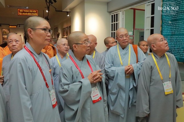 Bình Phước: Khai mạc triển lãm văn hóa Phật giáo tưởng niệm Đức Thánh Tổ Ni Đại Ái Đạo ảnh 10