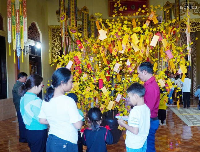 Cây lộc xuân ở chùa