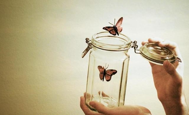 Phật tử thường mắc bệnh cố chấp nên khổ hoài - Ảnh minh họa Phật tử thường mắc bệnh cố chấp nên khổ hoài - Ảnh minh họa