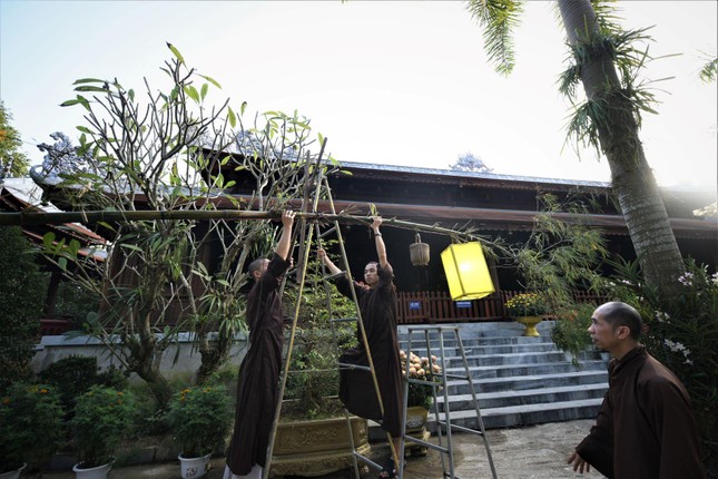 Thượng tọa Thích Hải Đức hướng dẫn chư Tăng chuẩn bị dựng nêu Thượng tọa Thích Hải Đức hướng dẫn chư Tăng chuẩn bị dựng nêu