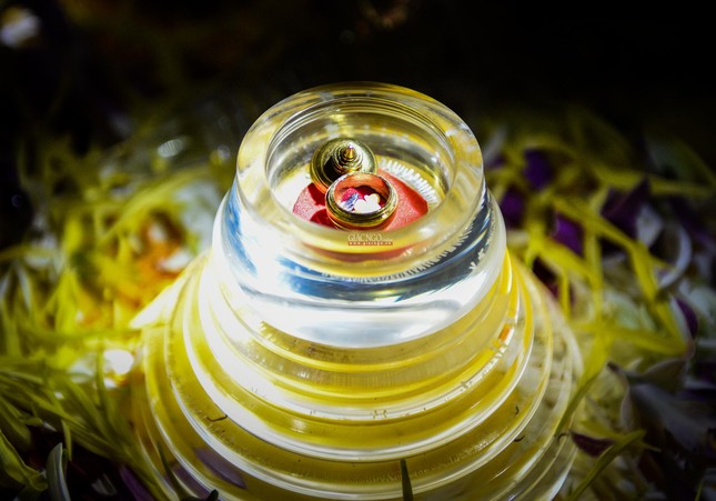 Xá-lợi thờ tại chùa Bửu Long